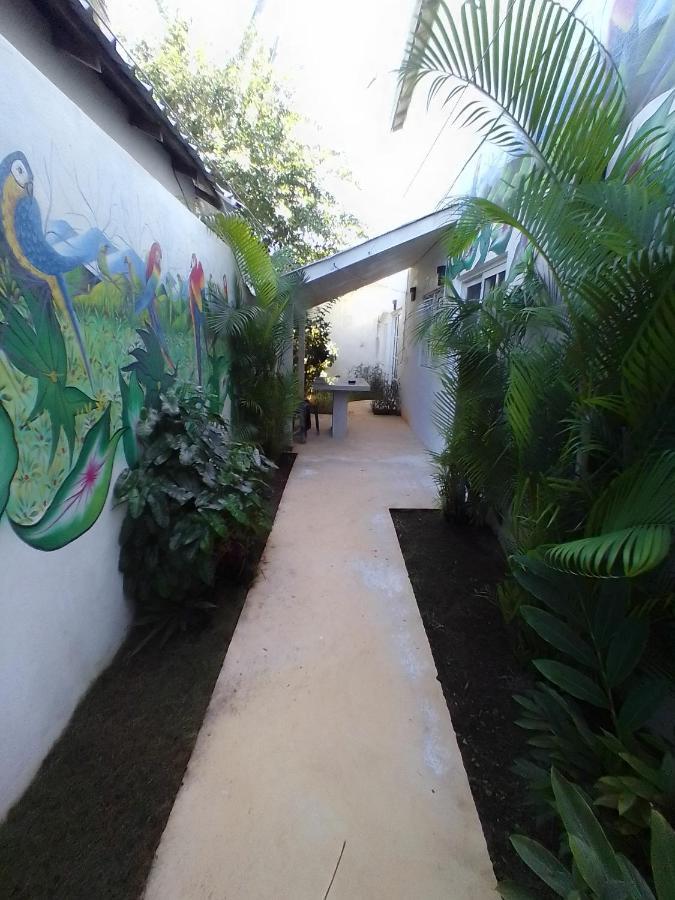 Beach Hotel Casa Nina Las Terrenas Kültér fotó
