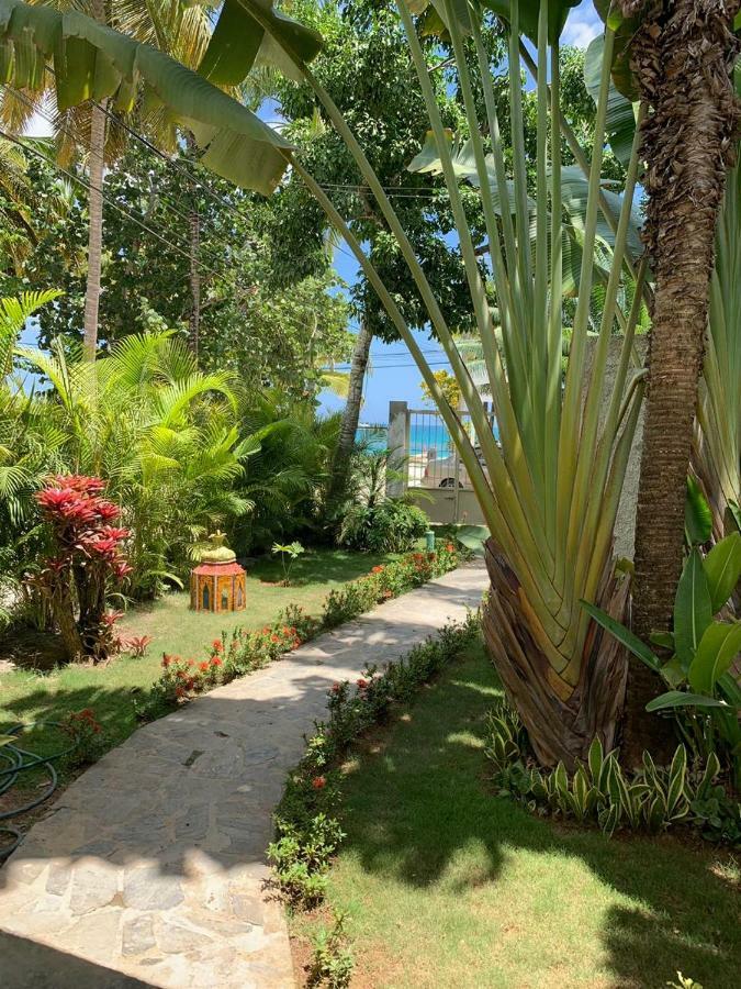Beach Hotel Casa Nina Las Terrenas Kültér fotó