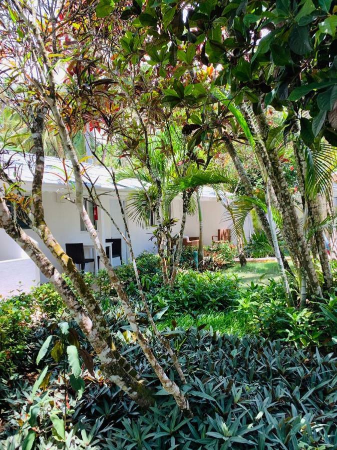 Beach Hotel Casa Nina Las Terrenas Kültér fotó