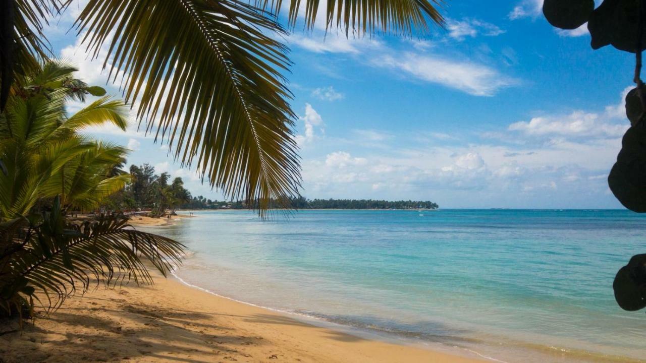 Beach Hotel Casa Nina Las Terrenas Kültér fotó