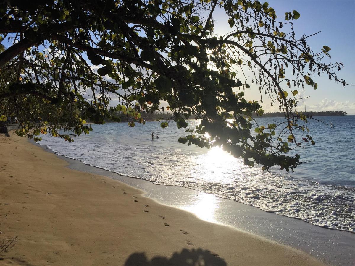 Beach Hotel Casa Nina Las Terrenas Kültér fotó
